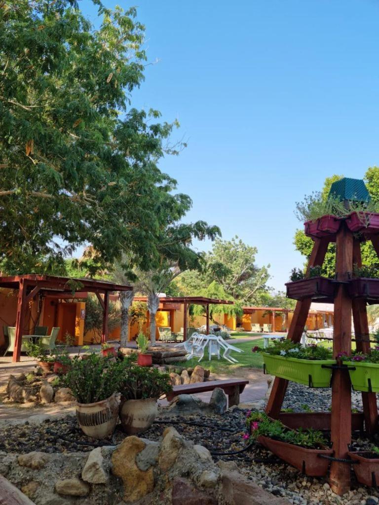 Elifaz Desert Experience Holiday المظهر الخارجي الصورة