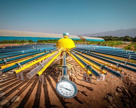 Elifaz Desert Experience Holiday المظهر الخارجي الصورة