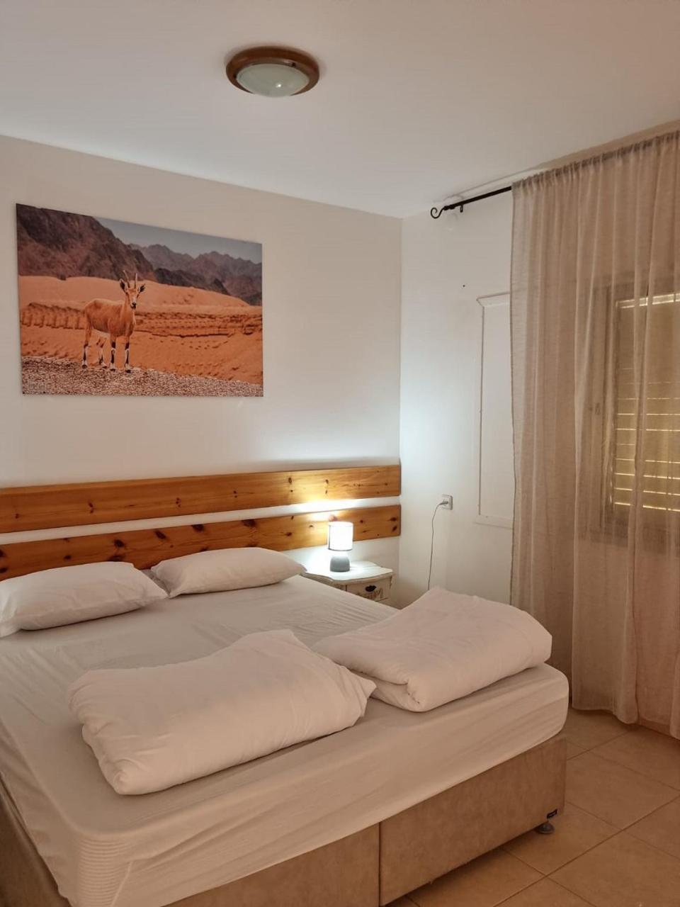 Elifaz Desert Experience Holiday المظهر الخارجي الصورة