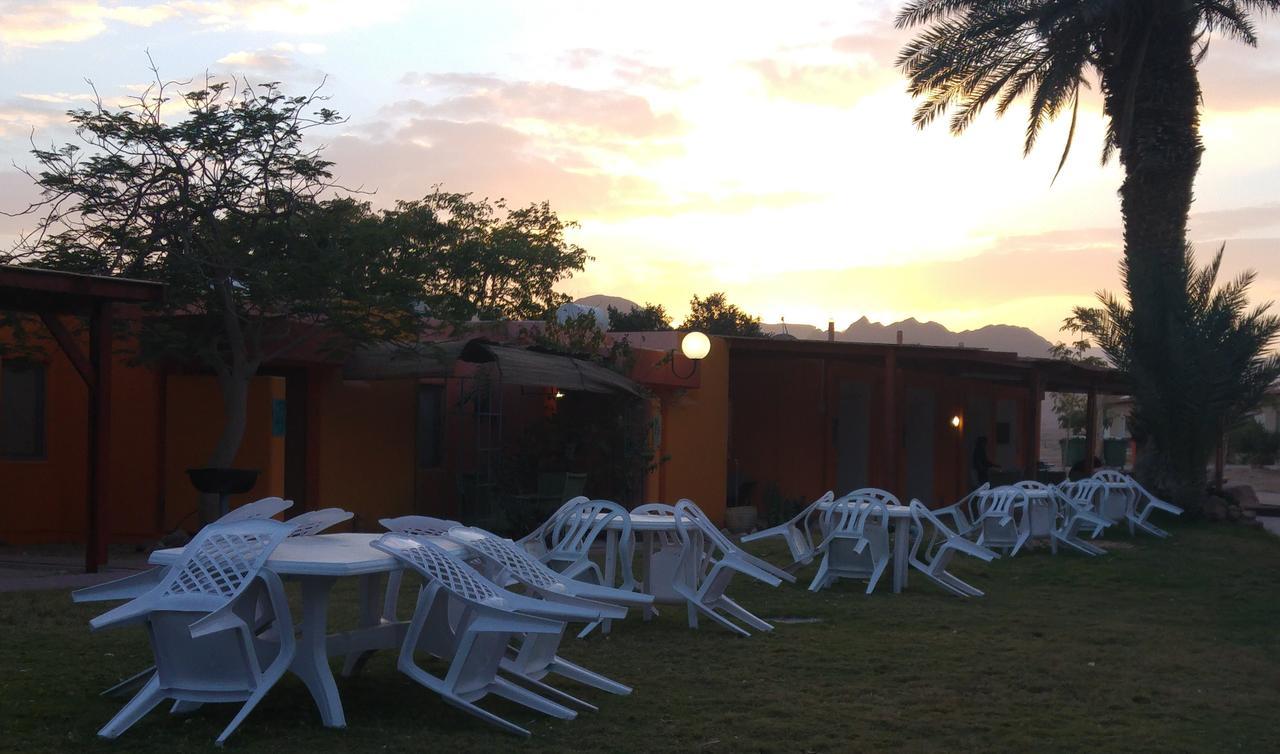 Elifaz Desert Experience Holiday المظهر الخارجي الصورة